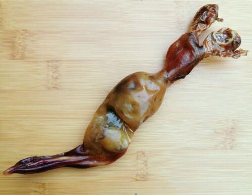 狗鞭加什么药材补肾壮阳 狗鞭泡酒的最佳配方