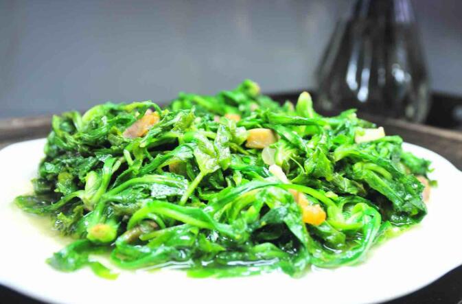 荠菜的功效与作用 禁忌和食用方法