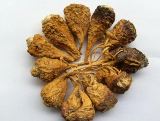 补肾壮阳玛咖片到底有哪些优势 男性朋友们有福了
