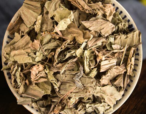 什么是车前草 车前草怎么吃效果最好