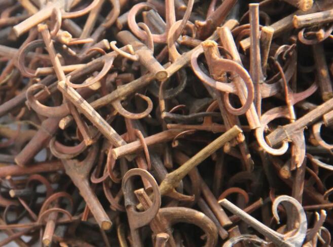 钩藤的功效与作用禁忌，对身体好吗