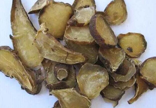 附子的功效与作用禁忌，对身体有影响吗