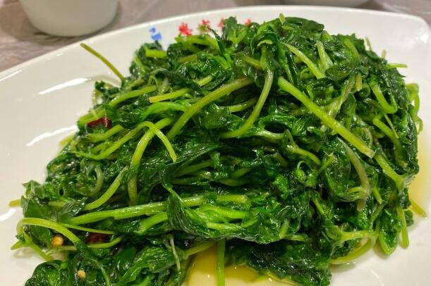 什么是鹅舌菜 鹅舌菜的药用价值