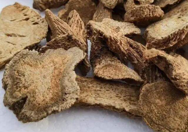 木香的功效与作用禁忌是什么