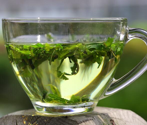 什么是桑叶茶 桑叶茶会影响男性性功能吗