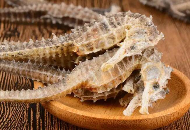 海马的功效与作用 海马的吃法