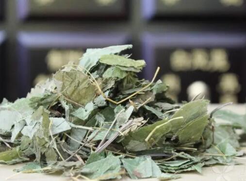 淫羊藿是什么 淫羊藿可以治早泄？