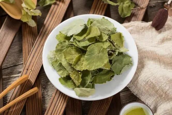 淫羊藿是什么 淫羊藿是什么能延时吗？