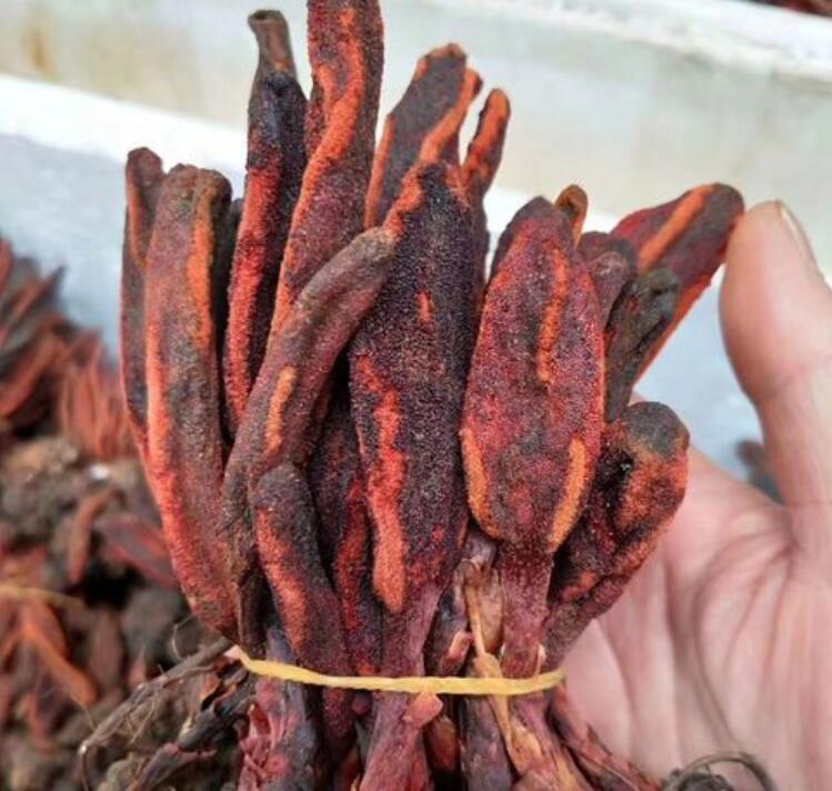 男性长期吃顶天柱的副作用是什么