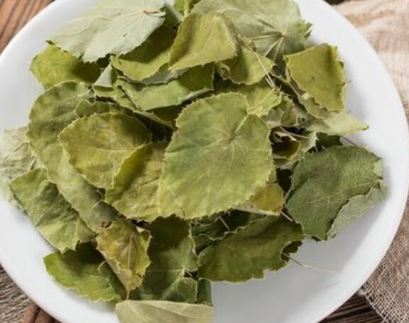 羊霍的功效与作用 羊藿有什么药用价值