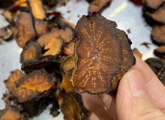 肉苁蓉的功效与作用吃法大全