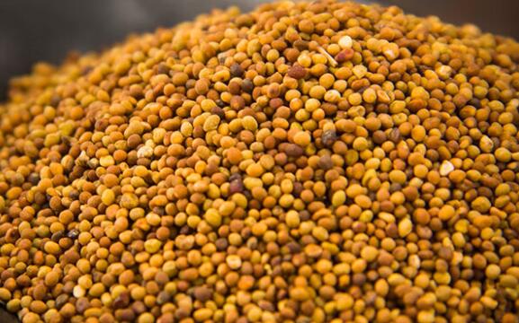 菟丝子的功效与作用及食用方法