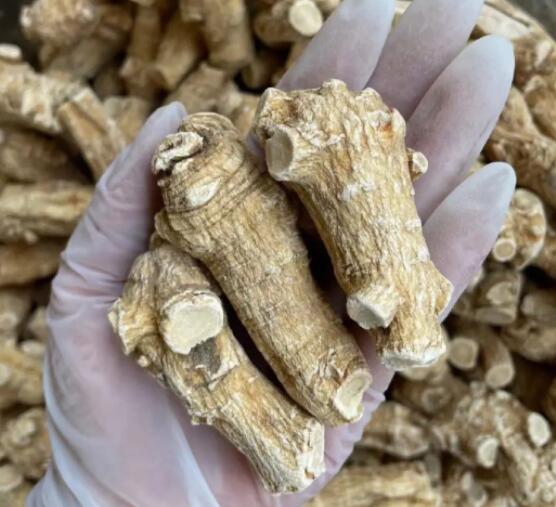 西洋参当归能提升性功能吗 赶紧收藏起来