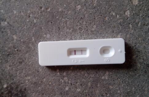 试纸怀孕几天能测出来，怎么知道自己是否怀孕