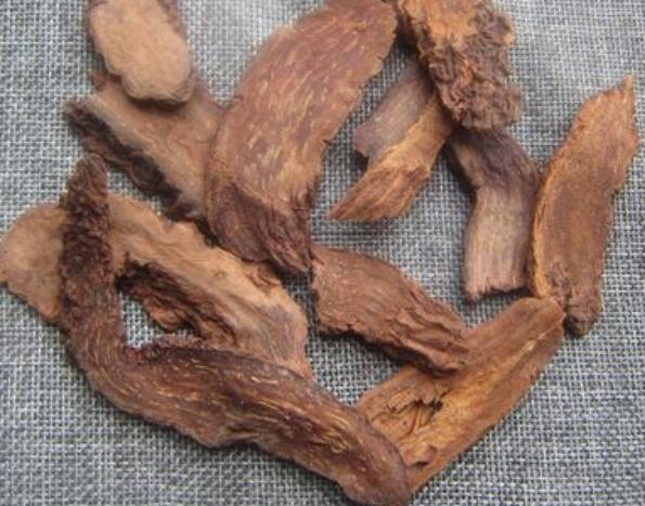 锁阳泡酒延时效果好吗 锁阳泡酒的功效与作用
