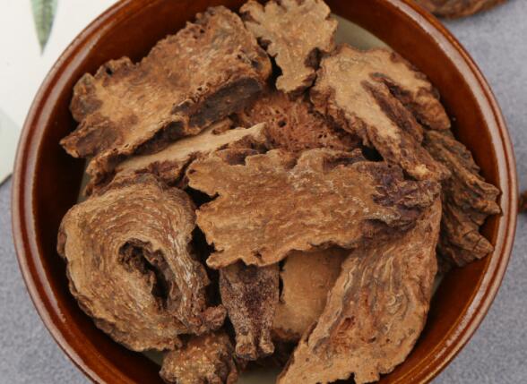 锁阳是什么 锁阳真的可以壮阳延时吗？