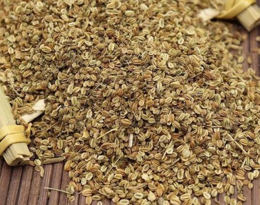 蛇床子的功效 蛇床子可以延长射精吗