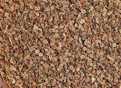 蛇床子怎么用最壮阳 盘点蛇床子的功效
