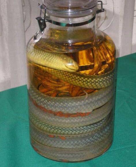 蛇酒是什么 蛇酒对性功能有好处吗能喝吗