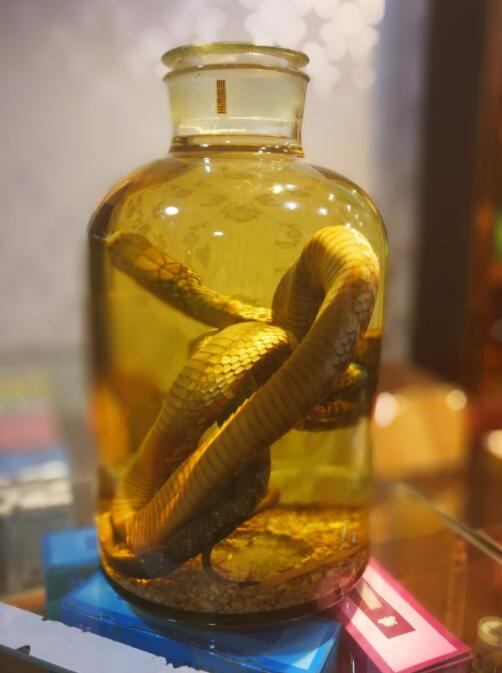 蛇酒有壮阳作用吗 能喝吗有毒吗