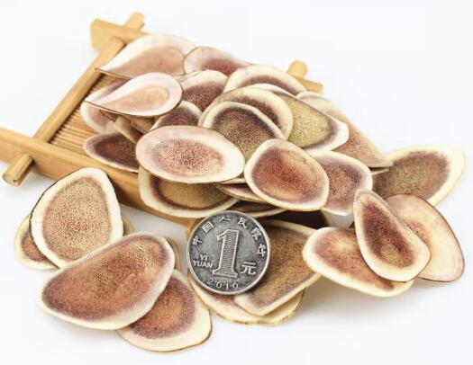 鹿茸的功效及其影响 鹿茸可以壮阳延时吗