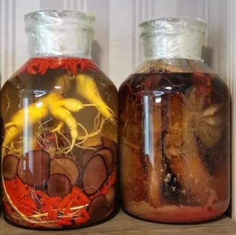 鹿鞭加什么泡酒补肾壮阳效果最好呢