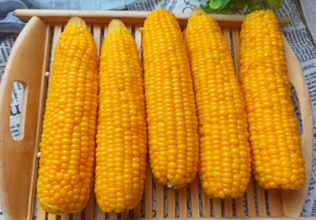 什么是减肥食谱玉米（如何制作减肥食谱玉米）