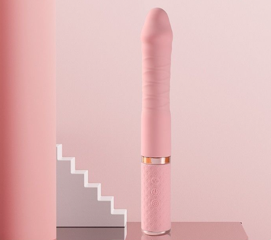 日产女用情趣用品（情趣用品商店连锁）
