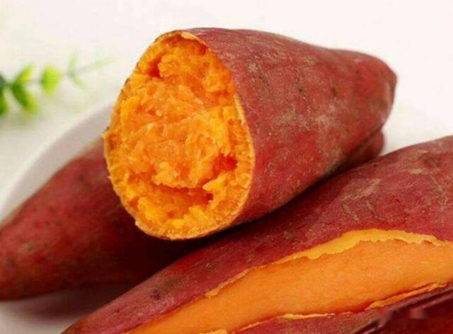 每天吃地瓜减肥食谱（吃地瓜能减肥吗）