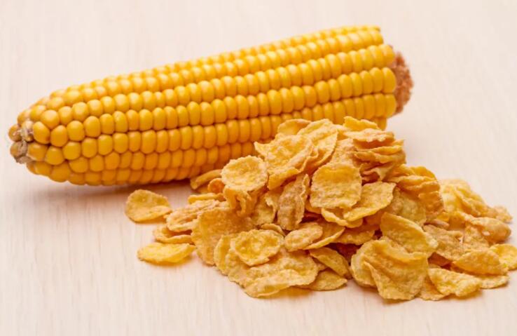 玉米片减肥食谱（玉米片减肥法）
