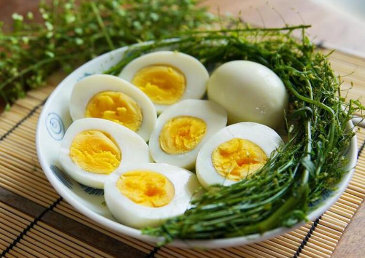 论式减肥食谱（科学减肥食谱）