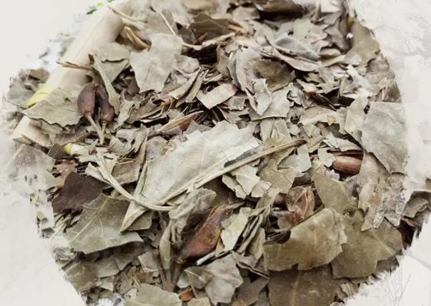 丁香叶的作用与功效 丁香叶的药用价值