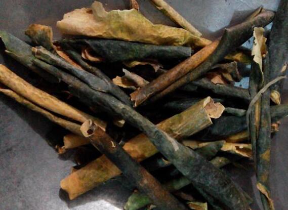 冬瓜皮的功效与作用（冬瓜皮的主治与用量）