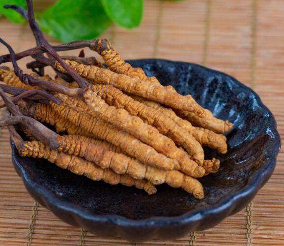 什么是冬虫夏草（冬虫夏草作用及适用人群）