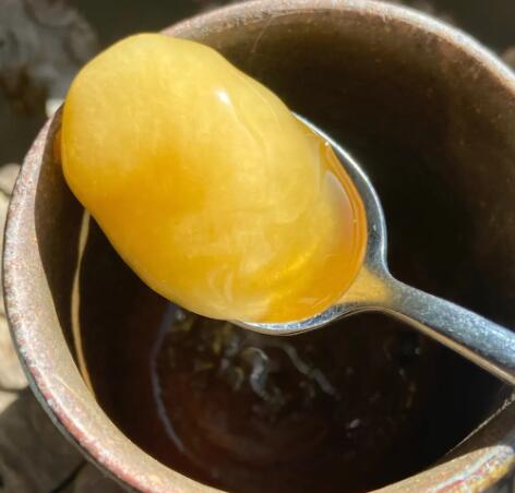 什么是冬蜜作用（冬蜜作用的适用人群）