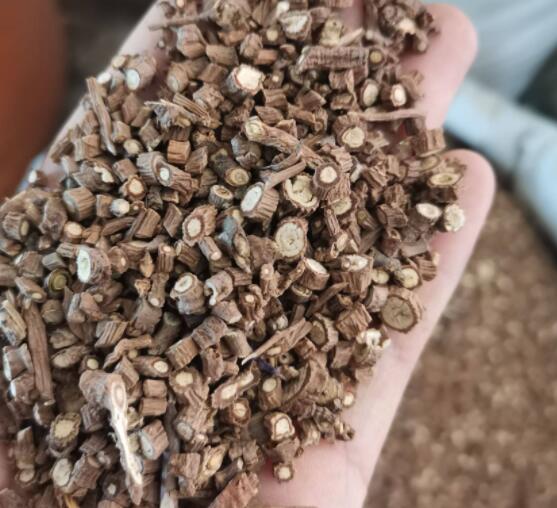 北柴胡功效与作用（北柴胡的应用）
