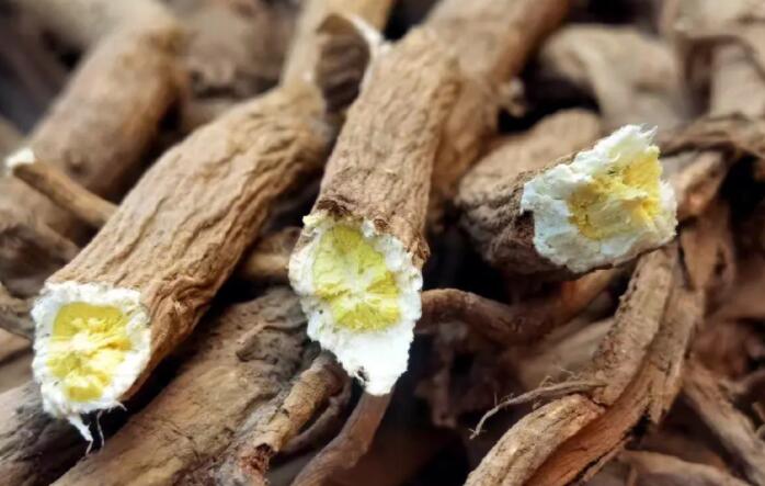 北芪的功效与作用（适合食用北芪的人群）