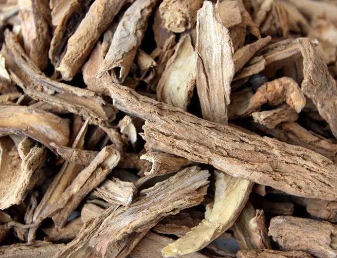 什么是地骨皮(地骨皮功效作用与主治)