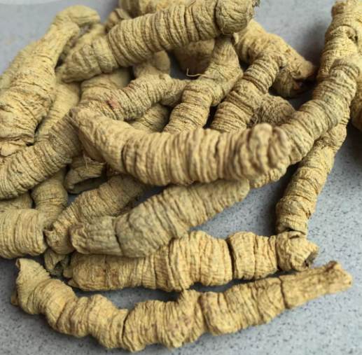 巴戟作用（巴戟作用的功能与主治）