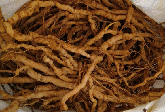 巴戟的作用（巴戟的作用和功效禁忌）