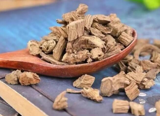 川断的功效与作用（如何使用川断）