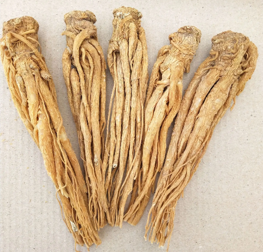 当归作用与功效与作用（当归的功效与作用禁忌人群）