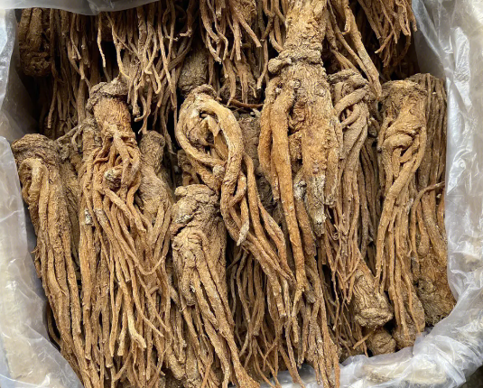 当归和作用（当归和作用是什么）