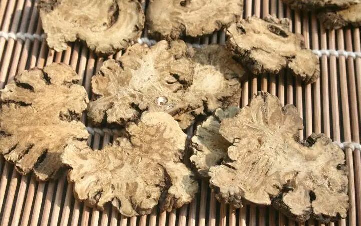 川芎的作用与功效（川芎治什么病最好）