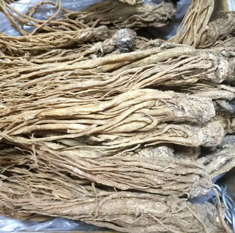 当归的功效和作用（丹参的功效和作用）