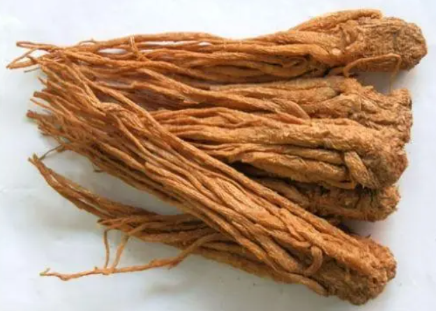 当归的作用和功效（当归的作用和功效用法）
