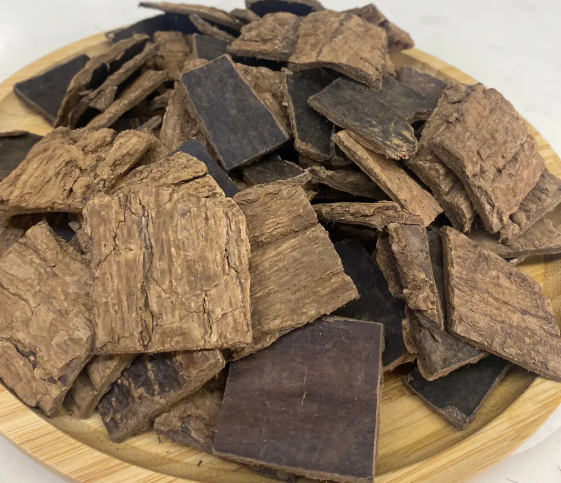 杜仲叶的作用（杜仲叶的作用与功能主治）