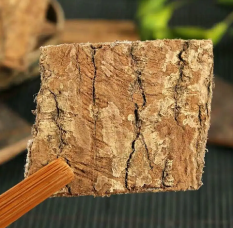 杜仲叶的作用与功效（杜仲叶泡水喝有什么功效和作用）