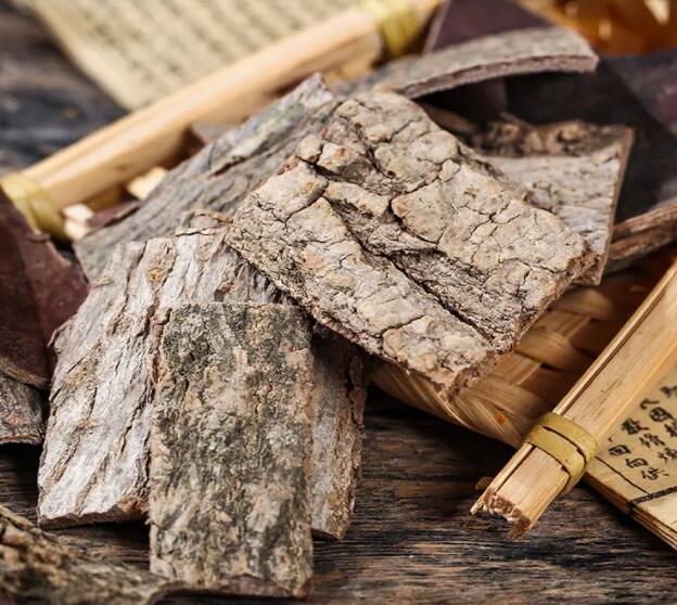 杜仲的功效及作用（杜仲片的作用及主治）