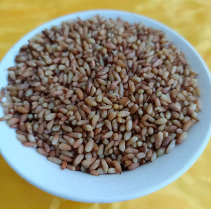 柏子仁的作用与功效（柏子仁的功效）